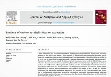 [PUBLICATION] "Pyrolysis of cashew nut shells-focus on extractives"