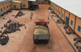Au sein d'Agro Burkina